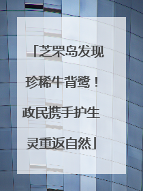芝罘岛发现珍稀牛背鹭！政民携手护生灵重返自然