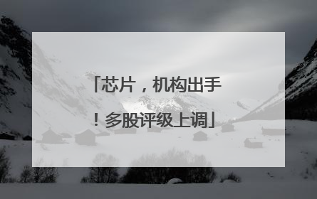 芯片，机构出手！多股评级上调