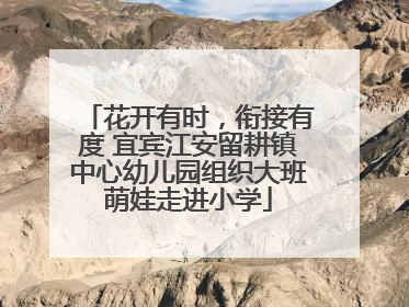 花开有时，衔接有度 宜宾江安留耕镇中心幼儿园组织大班萌娃走进小学