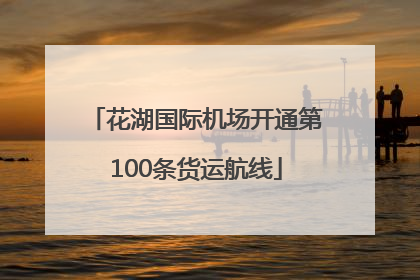 花湖国际机场开通第100条货运航线