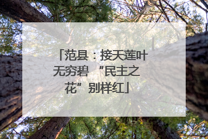 范县：接天莲叶无穷碧 “民主之花”别样红