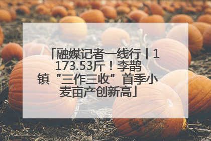 融媒记者一线行丨1173.53斤！李鹊镇“三作三收”首季小麦亩产创新高