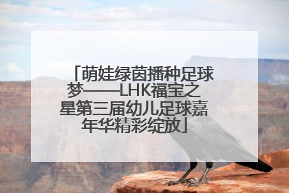 萌娃绿茵播种足球梦——LHK福宝之星第三届幼儿足球嘉年华精彩绽放