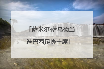萨米尔·萨乌德当选巴西足协主席