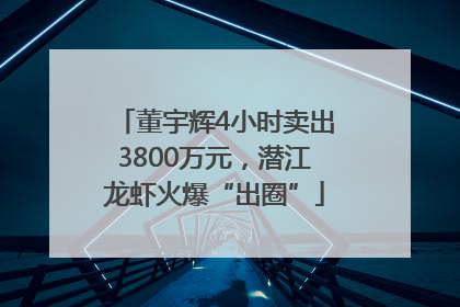 董宇辉4小时卖出3800万元，潜江龙虾火爆“出圈”