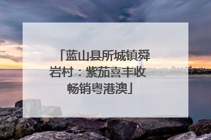 蓝山县所城镇舜岩村：紫茄喜丰收 畅销粤港澳