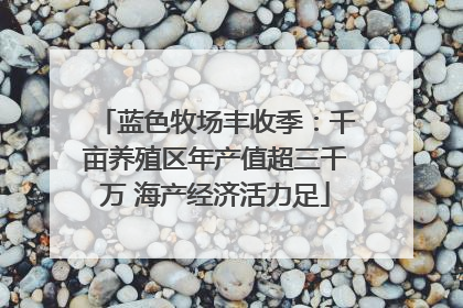 蓝色牧场丰收季：千亩养殖区年产值超三千万 海产经济活力足