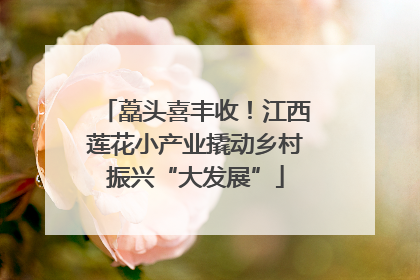 藠头喜丰收！江西莲花小产业撬动乡村振兴“大发展”