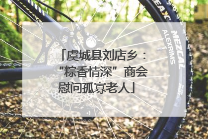虞城县刘店乡：“粽香情深”商会慰问孤寡老人