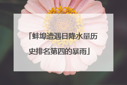 蚌埠遭遇日降水量历史排名第四的暴雨