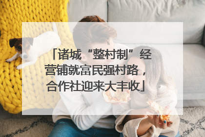 诸城“整村制”经营铺就富民强村路，合作社迎来大丰收