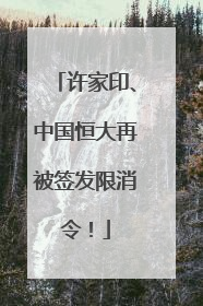 许家印、中国恒大再被签发限消令！
