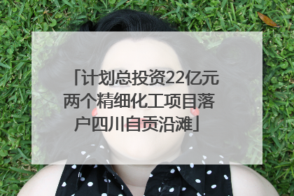 计划总投资22亿元 两个精细化工项目落户四川自贡沿滩