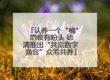 认养一个“桶” 增收有盼头 德清推出“共富数字渔仓”众筹共养
