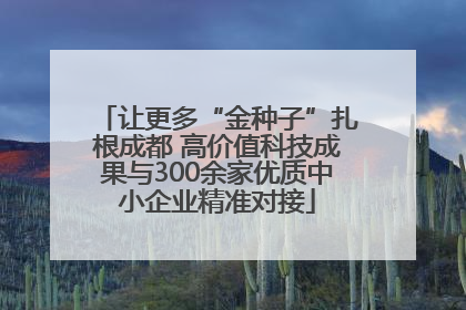 让更多“金种子”扎根成都 高价值科技成果与300余家优质中小企业精准对接