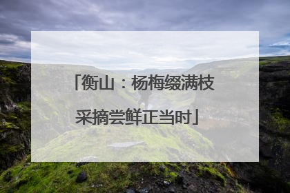 衡山：杨梅缀满枝 采摘尝鲜正当时