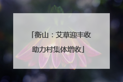 衡山：艾草迎丰收 助力村集体增收