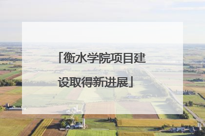 衡水学院项目建设取得新进展