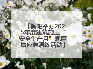 衡阳举办2025年度建筑施工“安全生产月”观摩暨应急演练活动