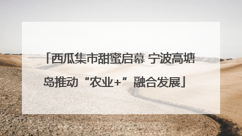 西瓜集市甜蜜启幕 宁波高塘岛推动“农业+”融合发展