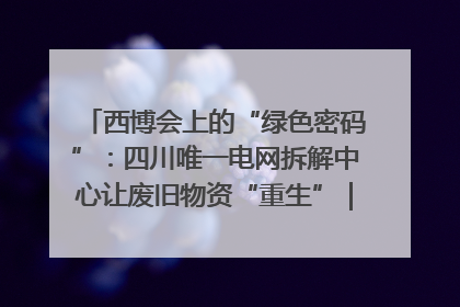 西博会上的“绿色密码”：四川唯一电网拆解中心让废旧物资“重生”｜西博寻“新”记