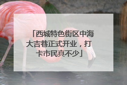 西城特色街区中海大吉巷正式开业，打卡市民真不少