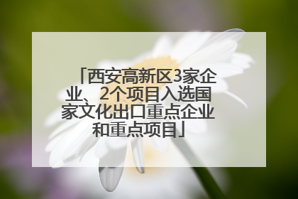 西安高新区3家企业、2个项目入选国家文化出口重点企业和重点项目