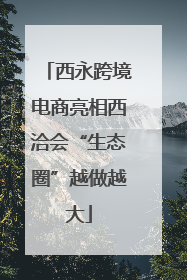 西永跨境电商亮相西洽会“生态圈”越做越大