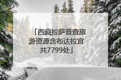 西藏拉萨普查旅游资源含布达拉宫共7799处