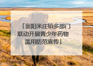 襄阳米庄镇多部门联动开展青少年药物滥用防范宣传