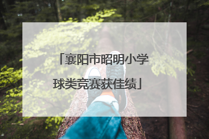 襄阳市昭明小学球类竞赛获佳绩
