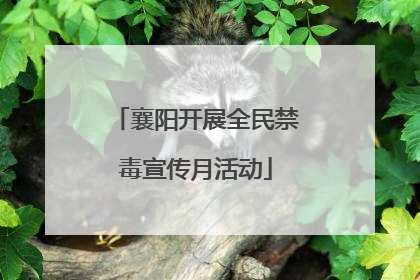 襄阳开展全民禁毒宣传月活动