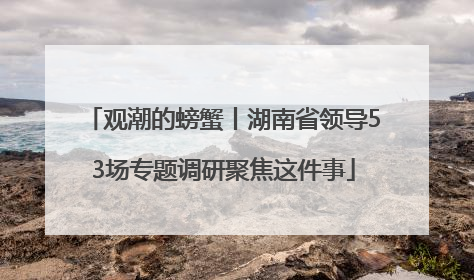 观潮的螃蟹丨湖南省领导53场专题调研聚焦这件事