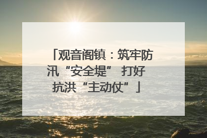 观音阁镇：筑牢防汛“安全堤” 打好抗洪“主动仗”