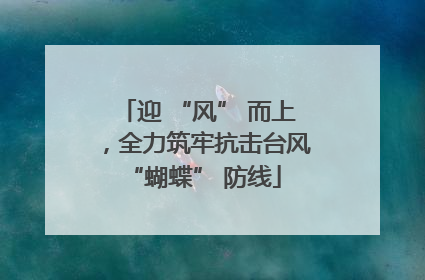 迎 “风” 而上，全力筑牢抗击台风 “蝴蝶” 防线