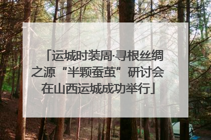 运城时装周·寻根丝绸之源“半颗蚕茧”研讨会在山西运城成功举行