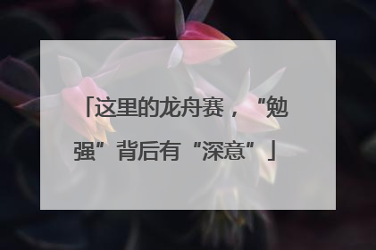 这里的龙舟赛，“勉强”背后有“深意”