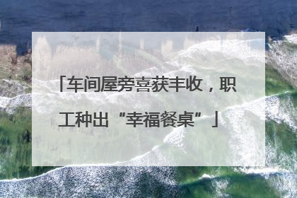 车间屋旁喜获丰收，职工种出“幸福餐桌”