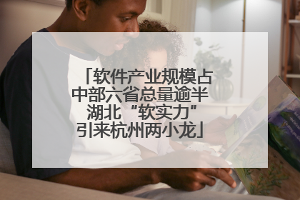 软件产业规模占中部六省总量逾半 湖北“软实力”引来杭州两小龙
