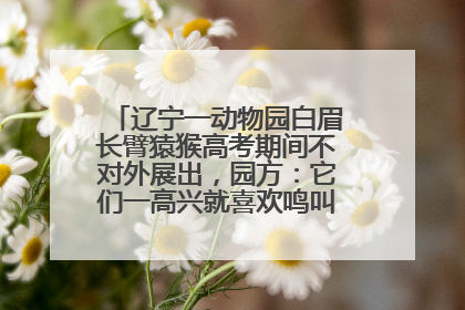 辽宁一动物园白眉长臂猿猴高考期间不对外展出，园方：它们一高兴就喜欢鸣叫，怕影响考试