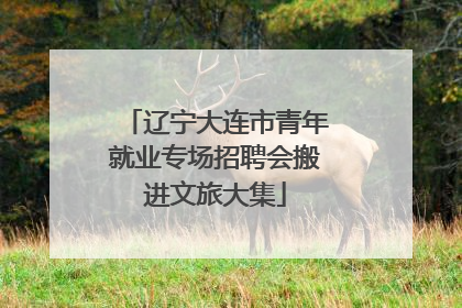 辽宁大连市青年就业专场招聘会搬进文旅大集