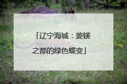 辽宁海城：菱镁之都的绿色蝶变