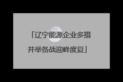 辽宁能源企业多措并举备战迎峰度夏