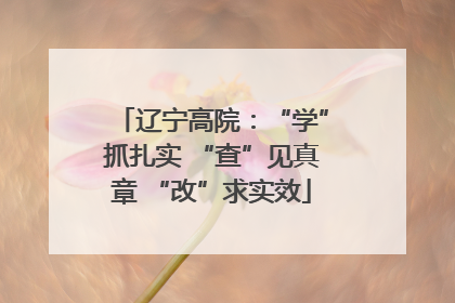 辽宁高院：“学”抓扎实 “查”见真章 “改”求实效