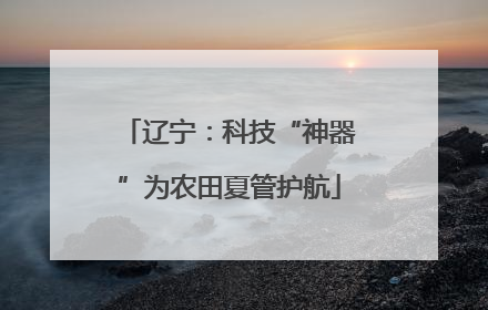 辽宁：科技“神器”为农田夏管护航