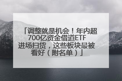调整就是机会！年内超700亿资金借道ETF进场扫货，这些板块最被看好（附名单）