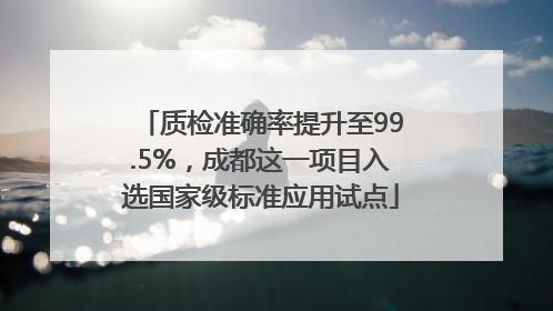 质检准确率提升至99.5%，成都这一项目入选国家级标准应用试点