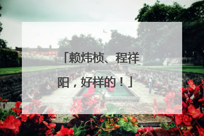 赖炜桢、程祥阳，好样的！