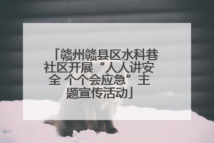 赣州赣县区水科巷社区开展“人人讲安全 个个会应急”主题宣传活动
