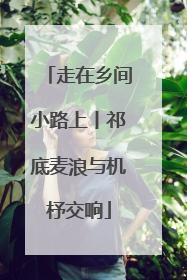 走在乡间小路上丨祁底麦浪与机杼交响